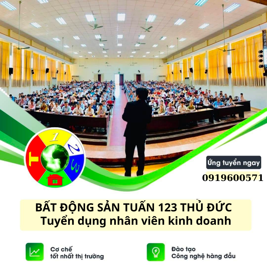 lĩnh vực hoạt động